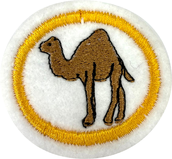 ESPECIALIDADE DBV NATUREZA - Camelos