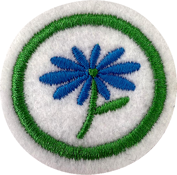 ESPECIALIDADE DBV NATUREZA - Flores