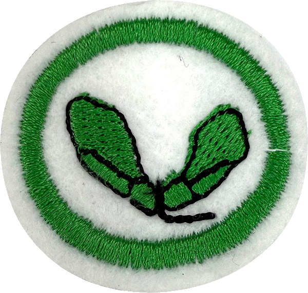 ESPECIALIDADE DBV NATUREZA - Sementes