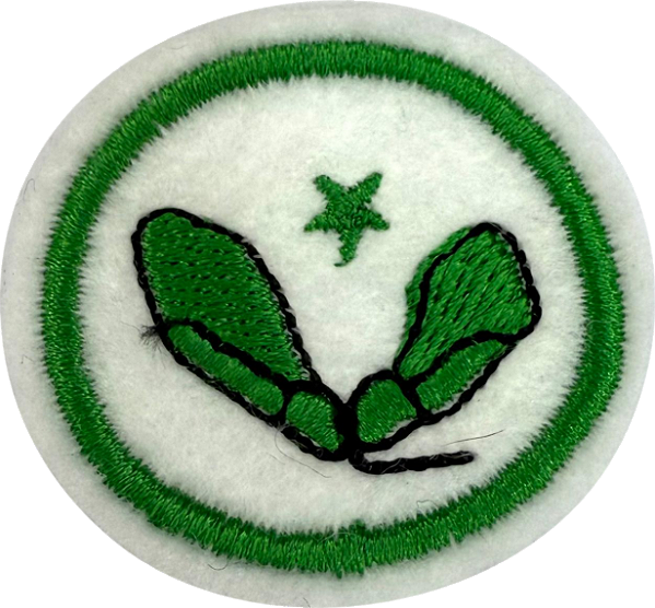 ESPECIALIDADE DBV NATUREZA - Sementes - Avançado