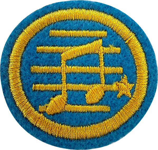 ESPECIALIDADE DBV ARTES E HABILIDADES MANUAIS - Música-Intermediário