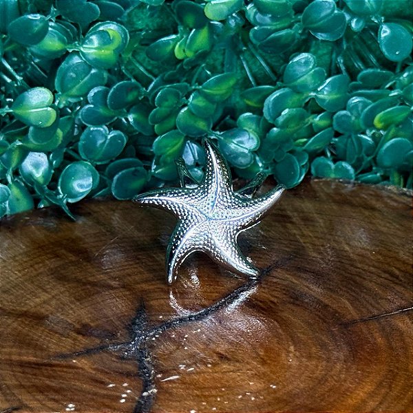 ARGANÉU/PRENDEDOR DE LENÇO ESTRELA DO MAR PRATA