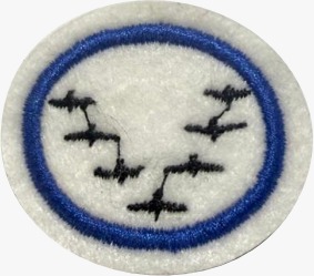 ESPECIALIDADE DBV ESTUDOS DA NATUREZA, ANIMAIS MIGRATÓRIOS