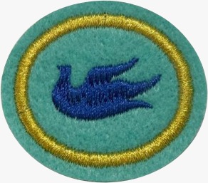 ESPECIALIDADE DBV ATIV. MISSIONÁRIAS E COMUNITÁRIAS, DONS E MOINISSTÉRIOS ESPIRITUAIS