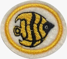 ESPECIALIDADE DBV ESTUDO DE NATUREZA, PEIXES ORNAMENTAIS