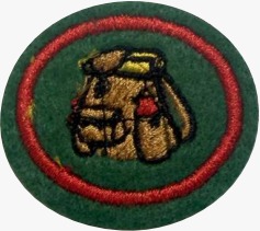 ESPECIALIDADE DBV ATIV. RECREATIVAS, ARTES MATEIRAS