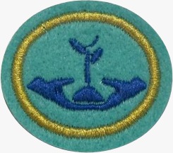 ESPECIALIDADE DBV ATIV. MISSIONÁRIAS E COMUNITÁRIAS, CRESCIMENTO EM CRISTO