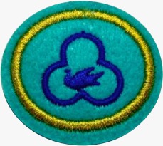 ESPECIALIDADE DBV ATIV. MISSIONÁRIAS E COMUNITÁRIAS, DEUS ESPÍRITO SANTO