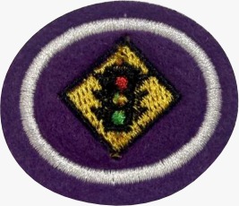 ESPECIALIDADE DBV. CIÊNCIA E SAÚDE, TRÂNSITO SEGURO