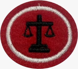 ESPECIALIDADE DBV. ATIVIDADES PROFISSIONAIS, NOÇÕES DE DIREITO