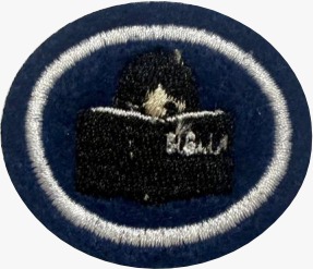 ESPECIALIDADE DBV ATIV. MISSIONÁRIAS E COMUNITÁRIAS, INTERPRETAÇÃO BÍBLICA