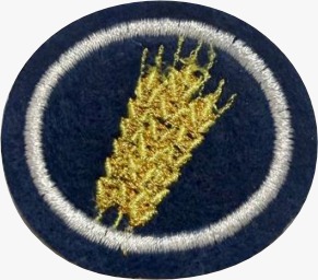 ESPECIALIDADE DBV ATIV. MISSIONÁRIAS E COMUNITÁRIAS, PARÁBOLAS DE JESUS