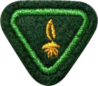 ESPECIALIDADE AVT ESTUDO DA NATUREZA, SEMENTES