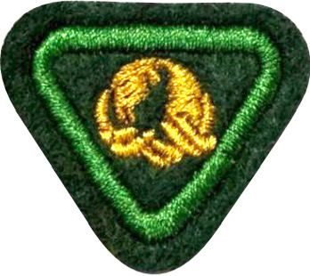 ESPECIALIDADE AVT ESTUDO DA NATUREZA, PLANETA TERRA.