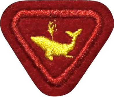 ESPECIALIDADE AVT ATIV. RECREATIVAS, NATAÇÃO 3