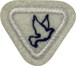 ESPECIALIDADE AVT ATIV. ESPIRITUAIS, FRUTOS DO ESPÍRITO.