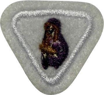 ESPECIALIDADE AVT ATIV. ESPIRITUAIS, MULHERES NA BIBLÍA.