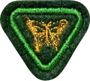 ESPECILIDADE AVT ESTUDO DA NATUREZA, BORBOLETAS.