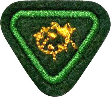 ESPECIALIDADE AVT ESTUDO DA NATUREZA, JOANINHAS.