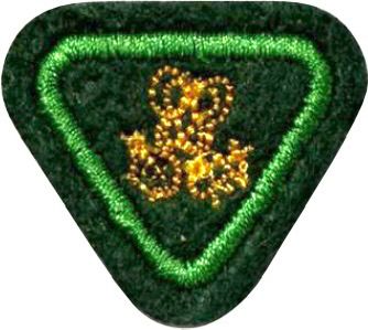 ESPECIALIDADE AVT ESTUDO DA NATUREZA, INSETOS