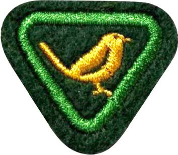 ESPECIALIDADE AVT ESTUDO DA NATUREZA, PÁSSAROS.