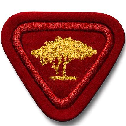 ESPECIALIDADE AVT ATIV. RECREATIVAS, AVENTURAS AO AR LIVRE.