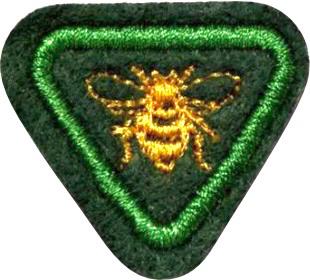 ESPECIALIDADE AVT ESTUDO DA NATUREZA, ABELHAS.