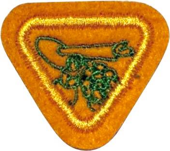 ESPECIALIDADE AVT HABILIDADES DOMÉSTICAS, ALIMENTOS SAUDÁVEIS.