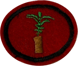 ESPECIALIDADE DBV ATIV. PROFISSIONAIS, SIVICULTURA.