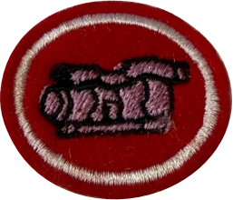 ESPECIALIDADE DBV ATIV. PROFISSIONAIS, PRODUÇÃO DE VÍDEO.