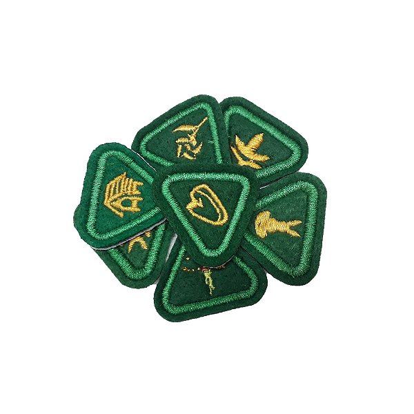 ESPECIALIDADE AVENTUREIRO ESTUDOS DA NATUREZA