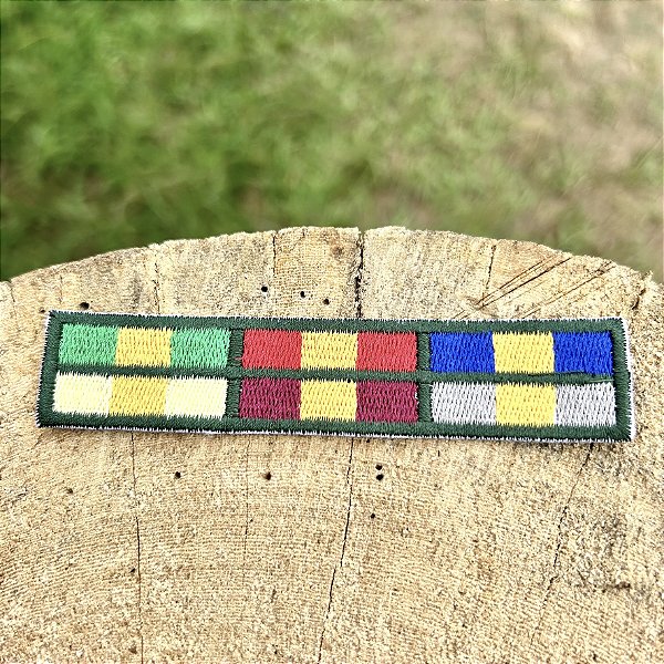 DISTINTIVO DE CLASSE AVANÇADAS AGRUPADAS BORDADO