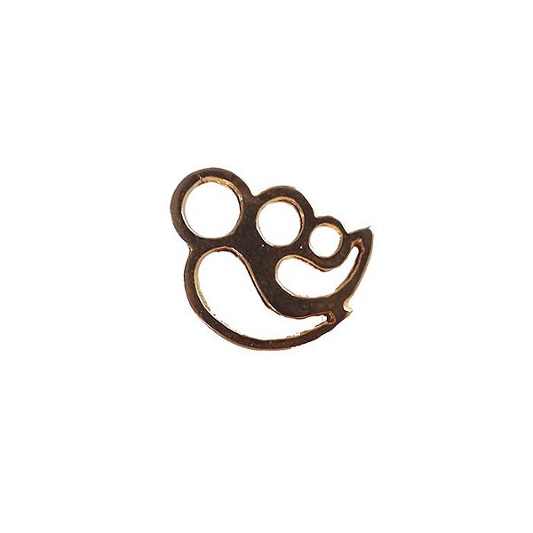 Pin logo do ministério da família vazado