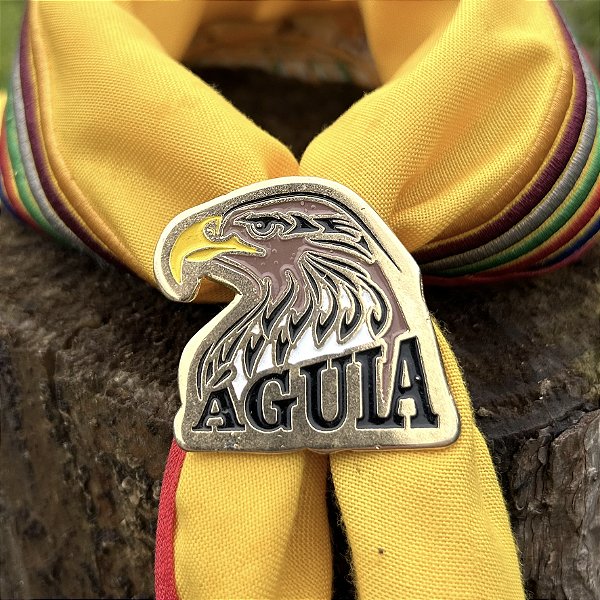 Arganéu/Prendedor, Águia, colorida