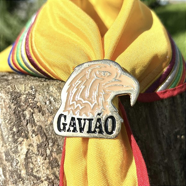 Arganéu/Prendedor, Gavião