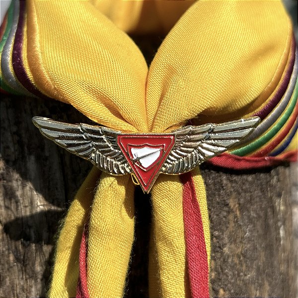 Arganéu/Prendedor de lenço, Logo D3 com asas