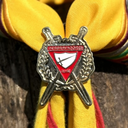Arganéu/Prendedor de lenço, Logo D1 com espadas