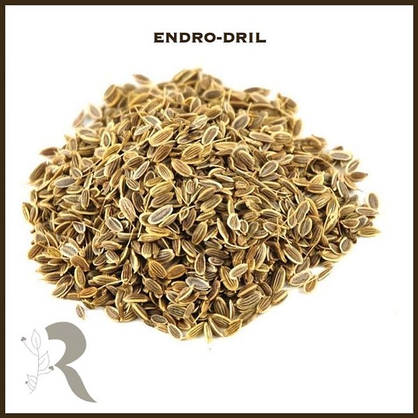 Endro-dril - 100g (a granel)