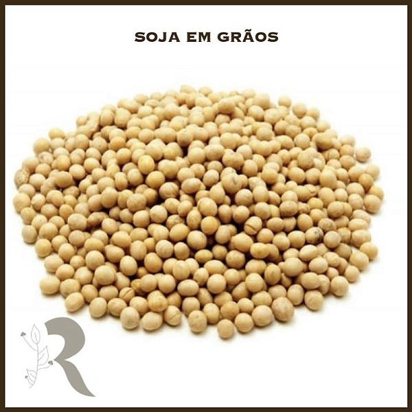 Soja em Grãos - 100g (a granel)