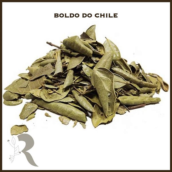 Boldo do Chile - 100g (a granel)