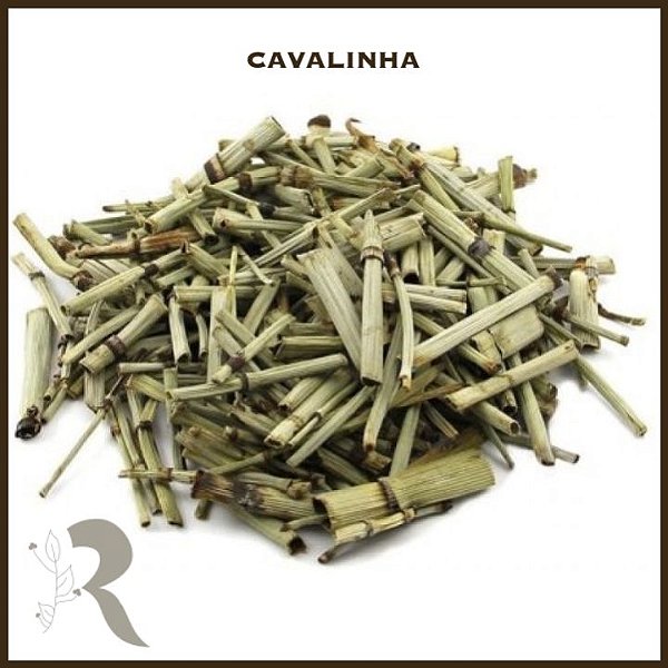 Cavalinha - 100g (a granel)