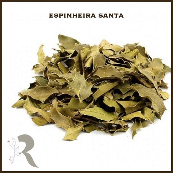 Espinheira Santa - 100g (a granel)