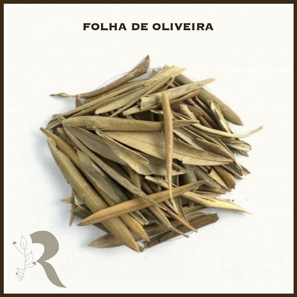 Folha de Oliveira - 100g (a granel)