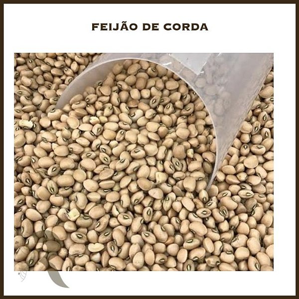 Feijão de Corda - 100g (a granel)