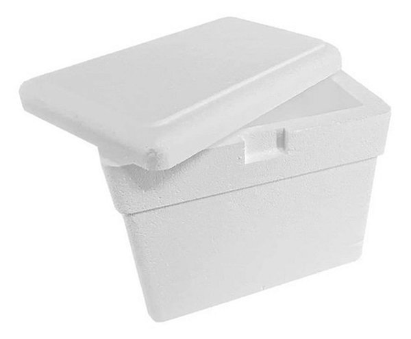 CAIXA DE ISOPOR 8 LTS