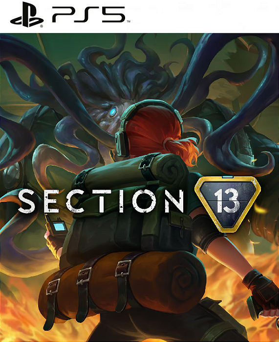 Section 13 PS5 Mídia Digital