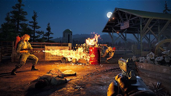 Far Cry 5 Ps4 Português Dublado Playstation