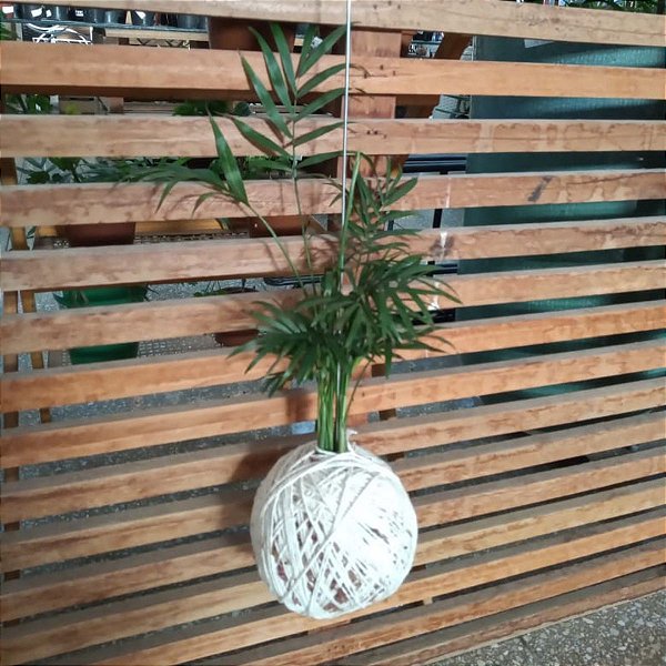 Kokedama de Palmeirinha