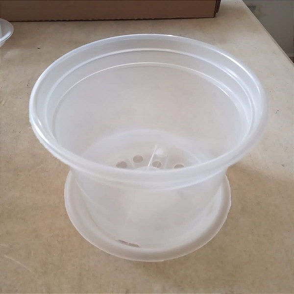 Prato Plástico Transparente