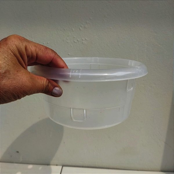 Vaso cuia transparente 20 cm